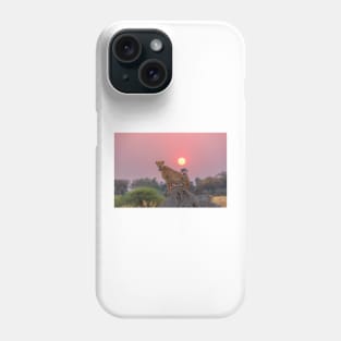 Cheetah at Sunset Phone Case