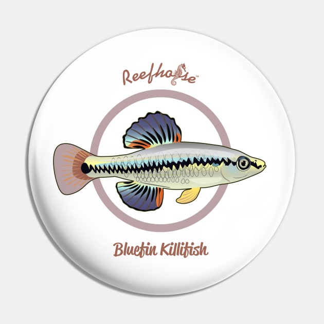 Bluefin Killifish Pin by Reefhorse