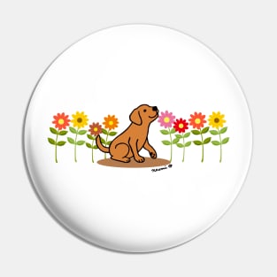 Fox Red Labrador and Flowers Pin