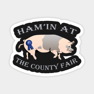 Pig Showing, Funny County Fair Livestock Showing Pigs 1st Gift Magnet