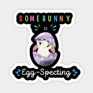 Some Bunny Is Eggspecting Magnet