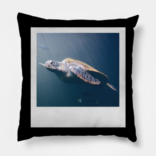 Turtle Cute Underwater Photograph Summer Beach Vibes I Like Turtles Turtle LOVE Pillow by blueversion