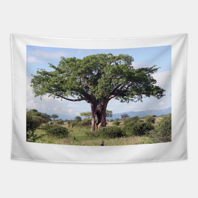 Hole in the Baobab Tree Tapestry by JohnDalkin