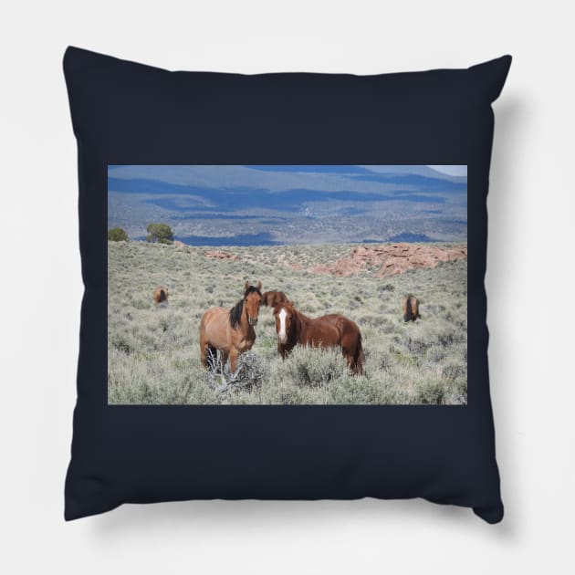 Wild horses, mustangs, wildlife, nature, gifts Pillow by sandyo2ly