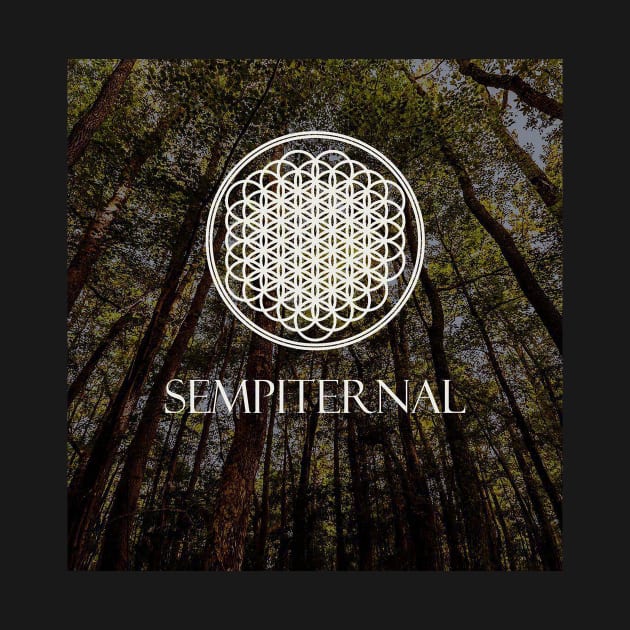 Sempiternal Sign by Dr_Fetus12