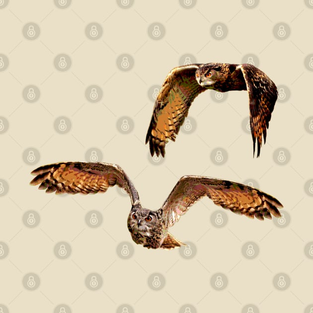 Owls in Flight Eurasian Owl by TheStuffInBetween