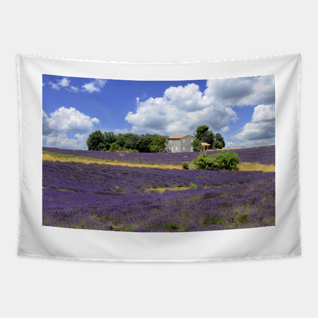 The house in the lavander Tapestry by annalisa56