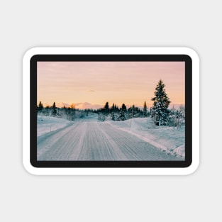 Scandinavian Winter Landscape in Warm Evening Sunlight Shot on Film Magnet