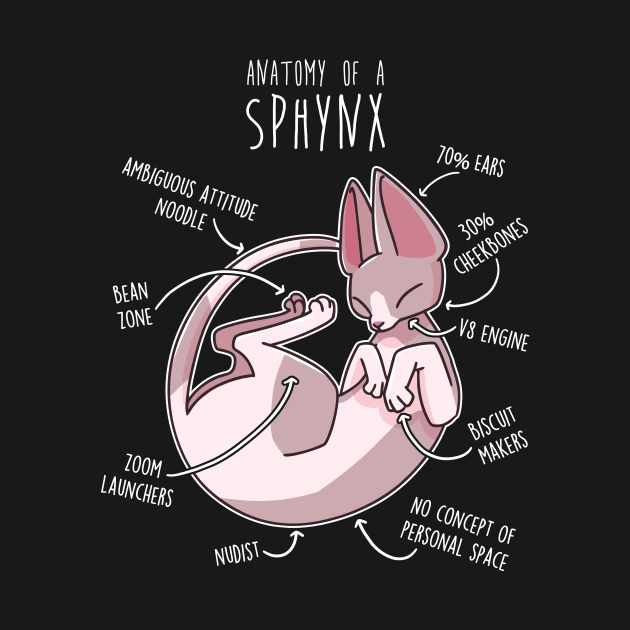 Sphynx Cat Anatomy by Psitta