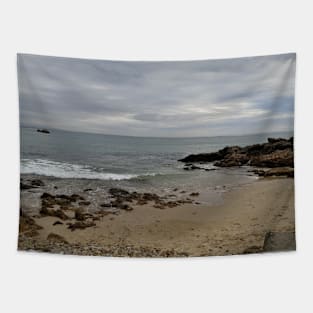 View from a sandy beach of a boat at sea Tapestry