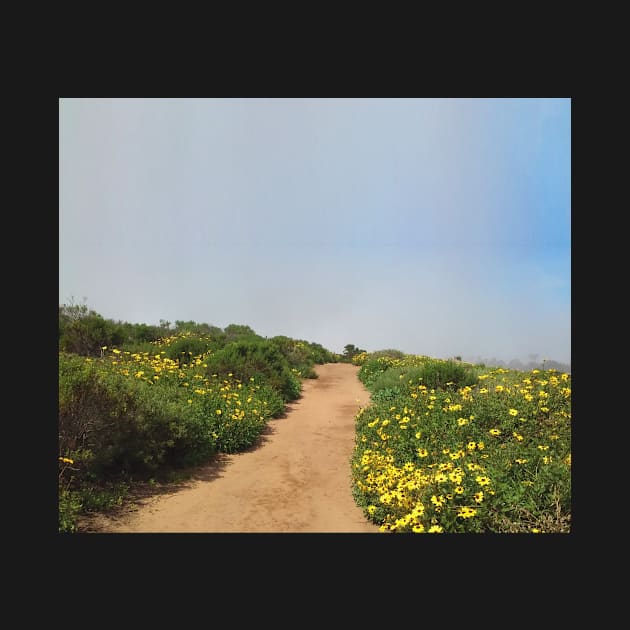 Morning Walk Through Flower Field in San Diego by Babey Bog