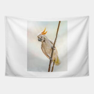 Sulphur Crested Cockatoo Tapestry