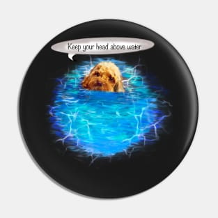 Keep your head above water - Cavapoo swimming puppy dog   - cavalier king charles spaniel poodle, puppy love Pin