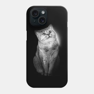 Aww Cute Kitty Enlightenment Phone Case