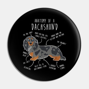 Blue Dapple Longhaired Dachshund Dog Anatomy Pin