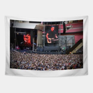 Bruce Springsteen Live At Wembley Stadium Tapestry