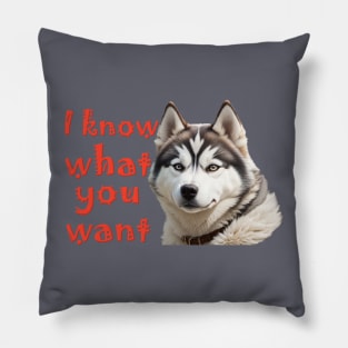 i know what you want poster Pillow