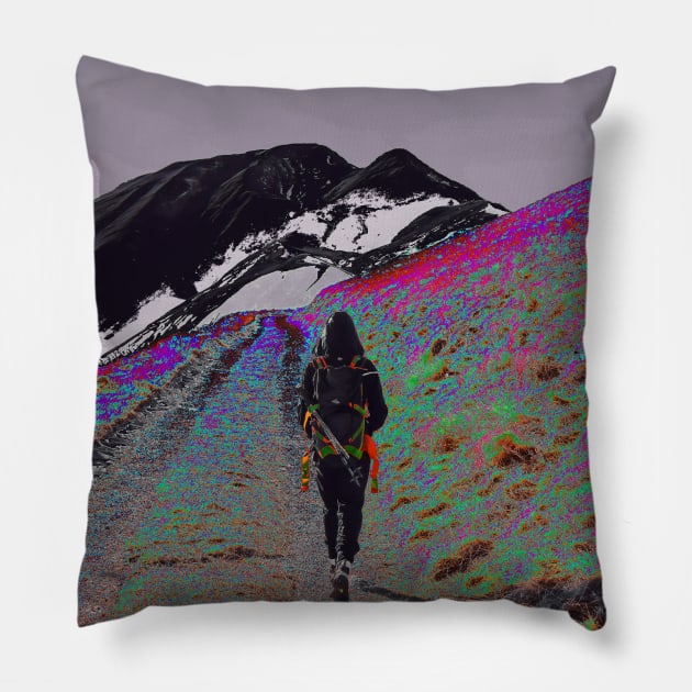 Following Pillow by Cajuca