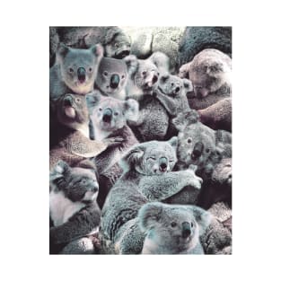 Koalas T-Shirt