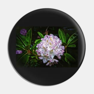 Rhododendron In Bloom Pin