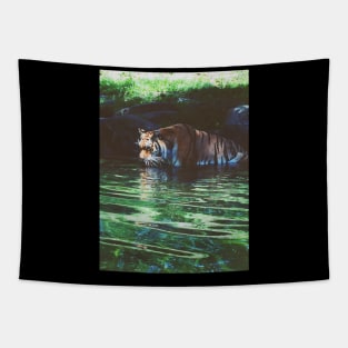 King of the Zoo Premium Tapestry