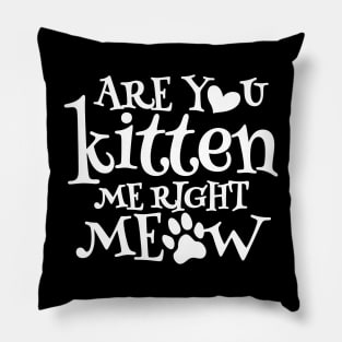 Are You Kitten Me Right Meow Pillow