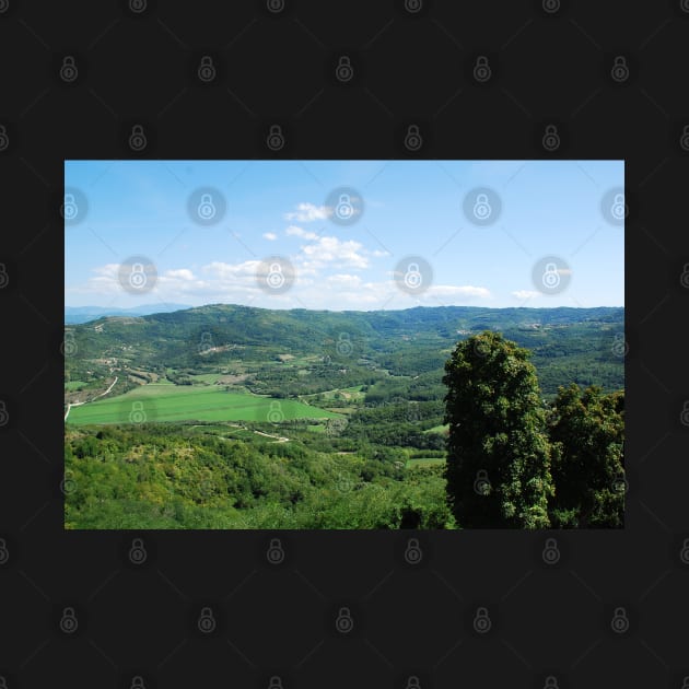 Landscape Near Motovun by jojobob