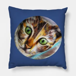 Beautiful Calico Cat Pillow