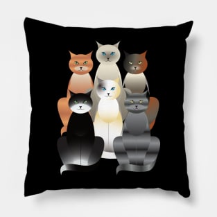 cats of many colors, no background Pillow