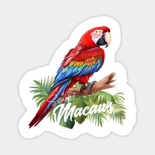 Scarlet Macaws Magnet