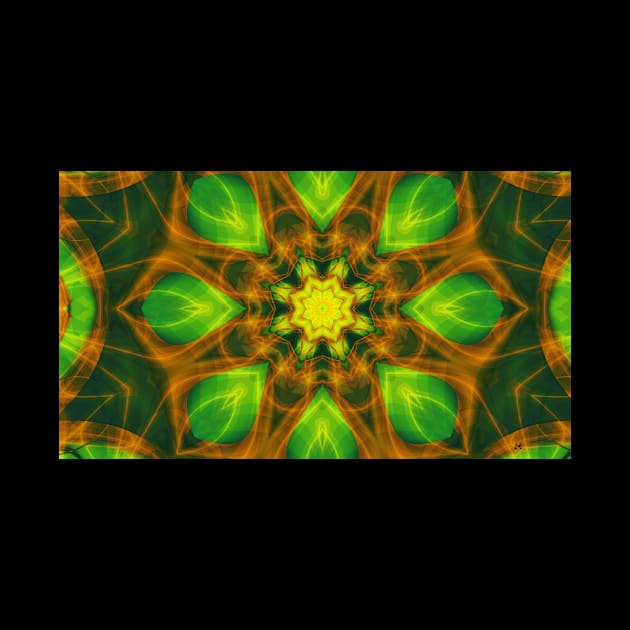 Nature Mandala 01 by Edward L. Anderson 