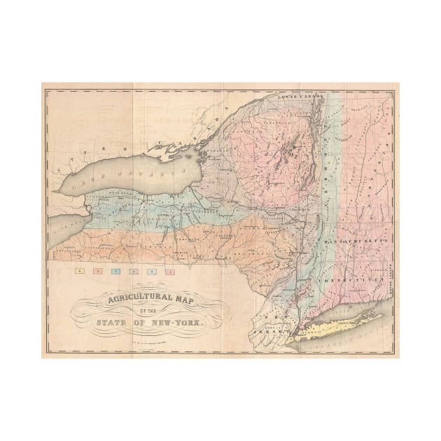 Vintage Agricultural Map of New York (1846) by Bravuramedia