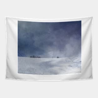 Winter winds Tapestry