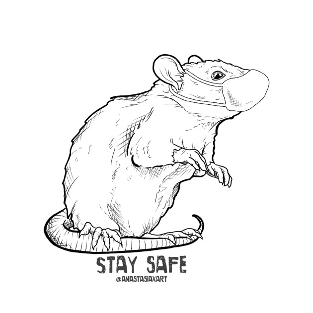 Stay Safe Rat by GnauArt