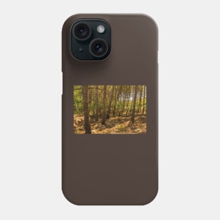 Forest on Krk Island, Croatia Phone Case