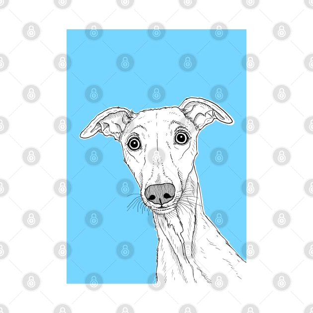 Whippet Dog Portrait by AdamRegester