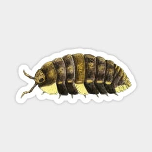 Neotroponiscus lenkoi Isopod Magnet