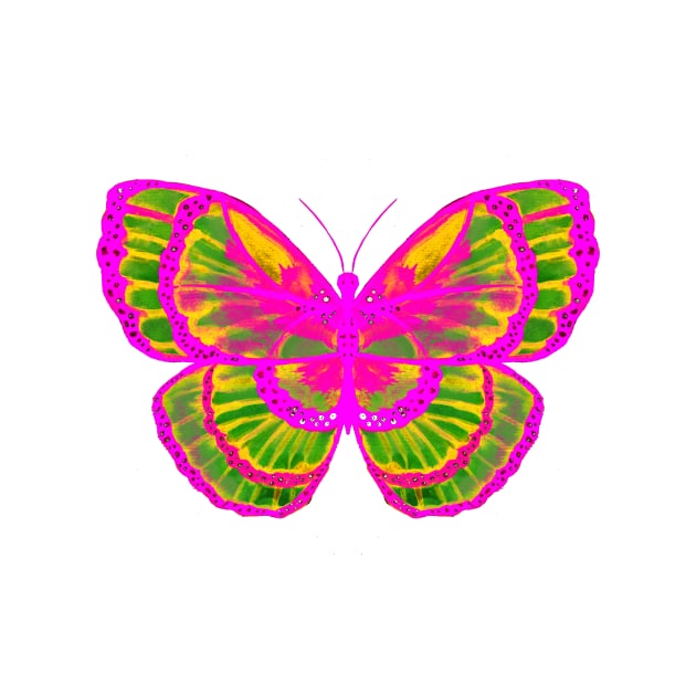 Pink and Green Butterfly by ZeichenbloQ