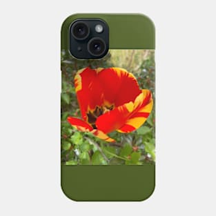 Beautiful Red and Yellow Tulip Phone Case