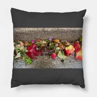 autumn leaves Pillow