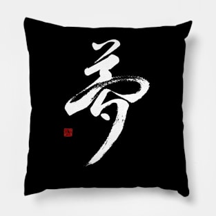 Dream 夢 Japanese Calligraphy Kanji Character Pillow