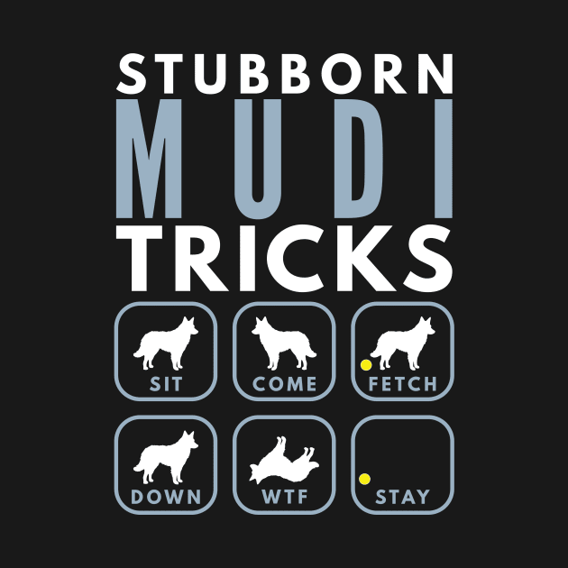 Stubborn Hungarian Mudi Tricks - Dog Training by DoggyStyles