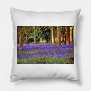 Bluebells Bluebell Woods Basildon Park Berkshire Pillow