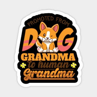 Promoted From Dog Grandma To Human Grandma Magnet