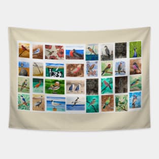 Birds from around the world Tapestry