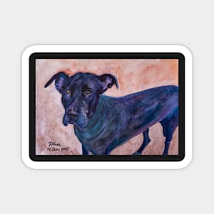 MISA’S ORIGINAL ART “AWESOME PETS” Magnet