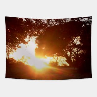 Sunburst Tapestry