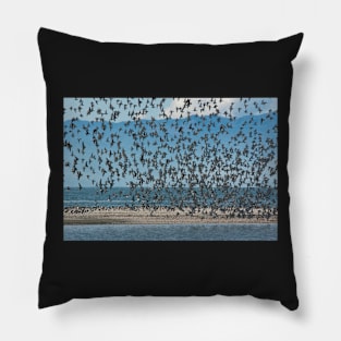 Sea Birds 2 Pillow