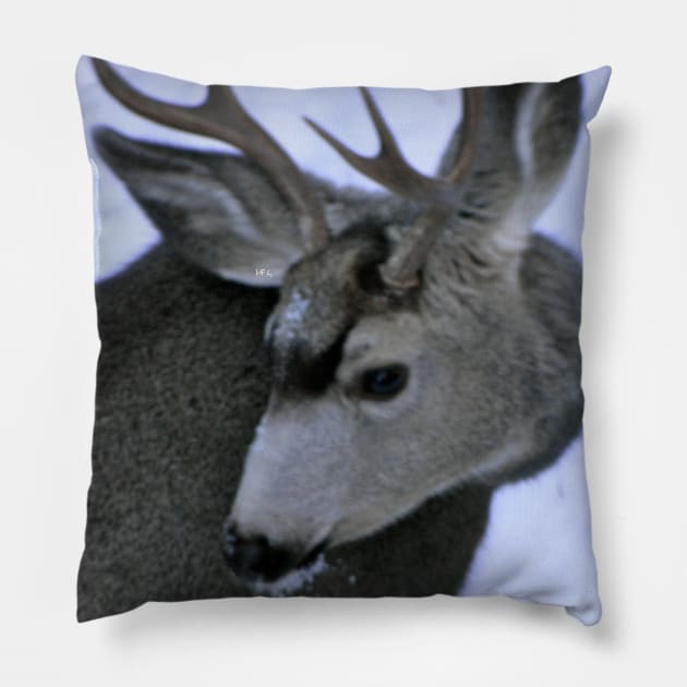 Oh Deer! Pillow by HFGJewels