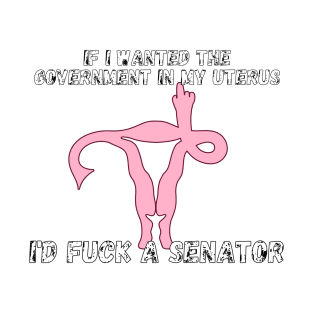 If I Wanted The Government In My Uterus Shirt T-Shirt